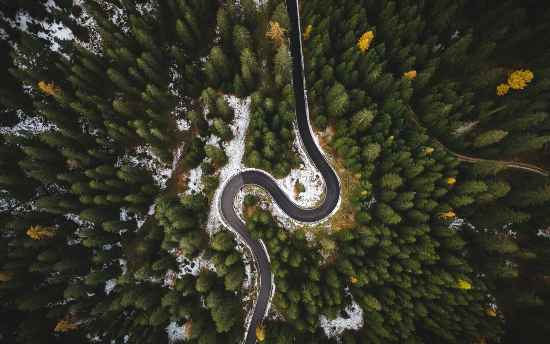 SKVL-ek antolatutako prestakuntza: Nola egiten diegu aurre erreleboei eta lidergoei gure elkarteetan? (Apirilak 28).